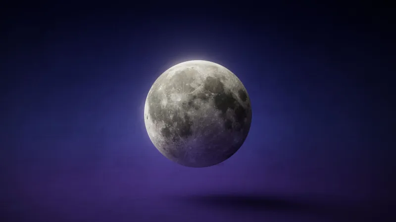 Why the Universe Keeps Poking the Exact Thing You're Most Comfortable Ignoring