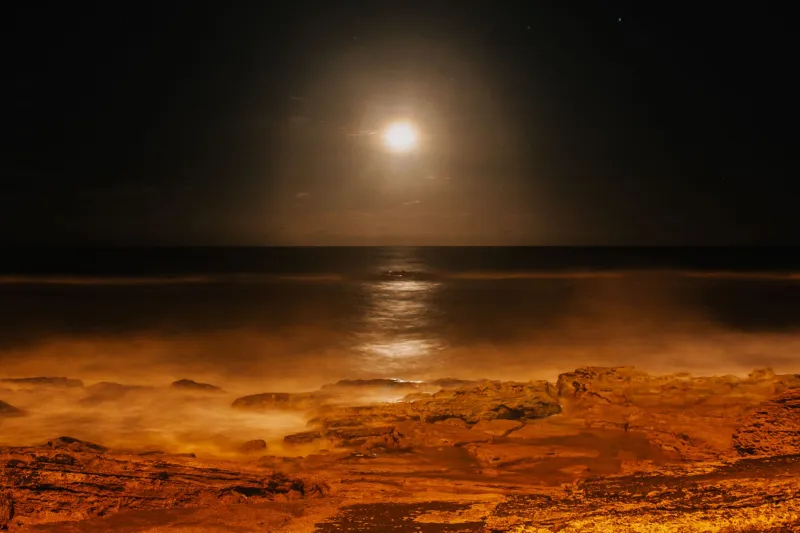 Forget Your Birthday — Your Moon Return Is the Reset You've Actually Been Waiting For